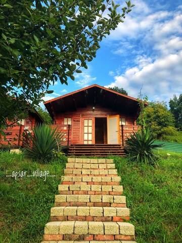 Фотографии Загородные дома Guest House Apsar Village г. Новый Афон (Абхазия) №3 Фото Загородные дома Guest House Apsar Village г. Новый Афон 3