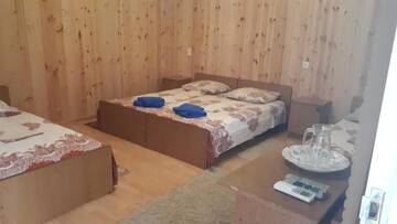 Фото номера Бунгало с видом на сад Гостевой дом Мандариновый рай г. Новый Афон 14
