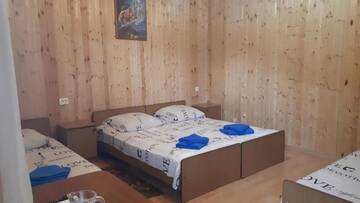 Фото номера Бунгало с видом на сад Гостевой дом Мандариновый рай г. Новый Афон 16