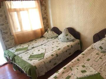 Фото номера Трехместный номер «Комфорт» Гостевой дом Alie Parusa GuestHouse г. Новый Афон 25